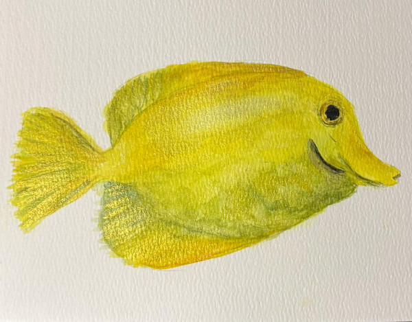 Yellow Tang by Mary O'Malley-Joyce