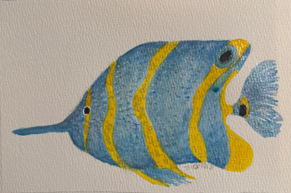 Copperband Butterflyfish by Mary O'Malley-Joyce