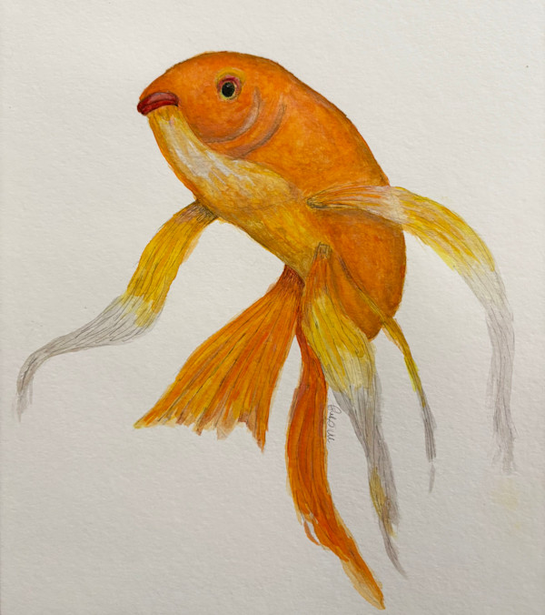 Fancy Goldfish by Mary O'Malley-Joyce