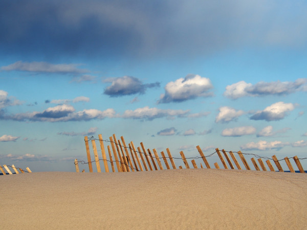 IBSP Fence