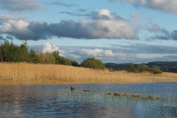 Stepping Stones on Lough Derg by Mary O'Malley-Joyce, Image 1.