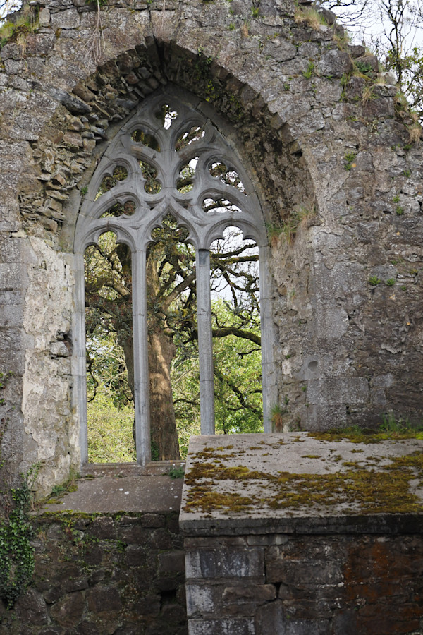 Portumna Castle Abbey by Mary O'Malley-Joyce