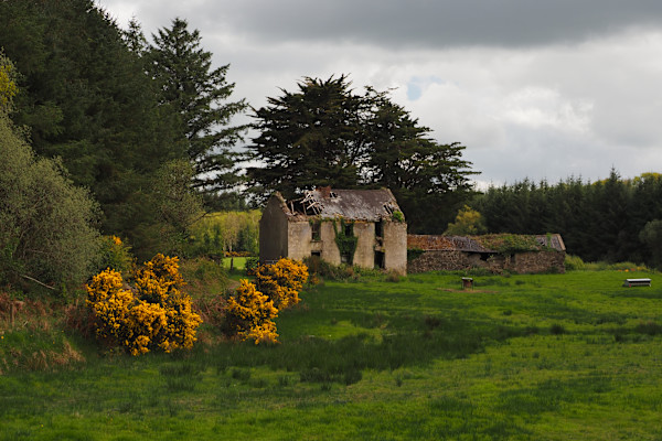 Abandoned Farm by Mary O'Malley-Joyce