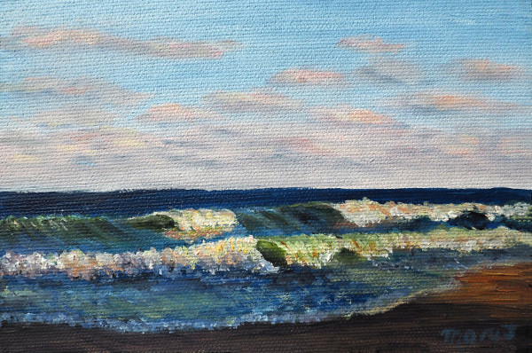 Island State Park Beach Rollers - 1 by Mary O'Malley-Joyce