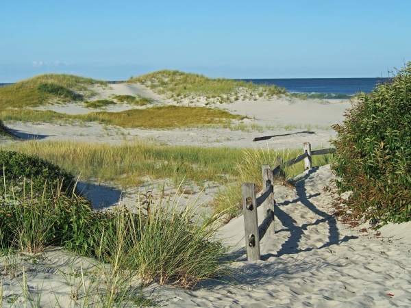 Summer Dunes - IBSP by Mary O'Malley-Joyce