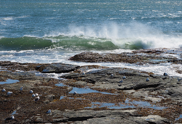 Brenton Point Wave and Rocks by Mary O'Malley-Joyce