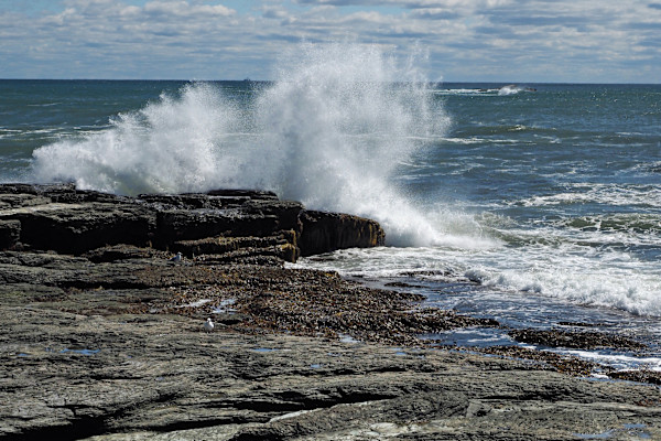 Brenton Point Crashing Wave by Mary O'Malley-Joyce