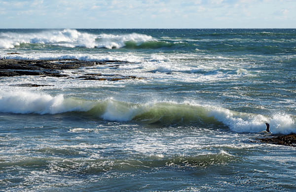 Brenton Point Waves by Mary O'Malley-Joyce