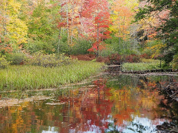 Falls Soft Colors by Mary O'Malley-Joyce, Image 1.