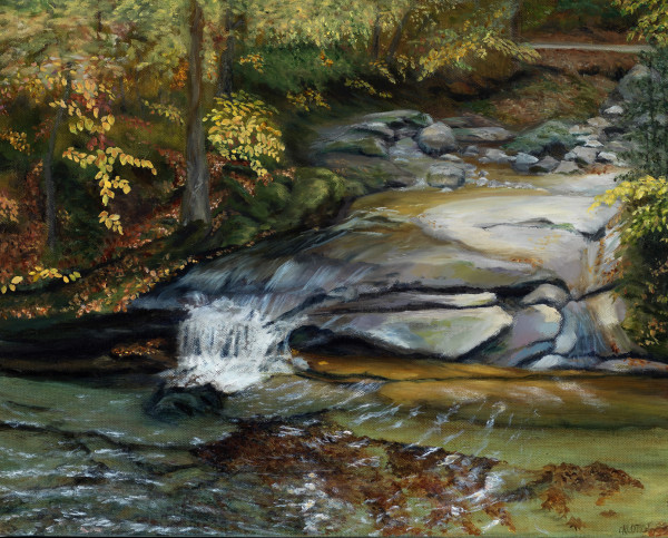 Basin Trail Waterfall by Mary O'Malley-Joyce