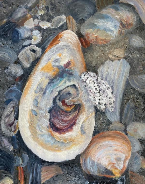 Oyster Shell Detail by Mary O'Malley-Joyce