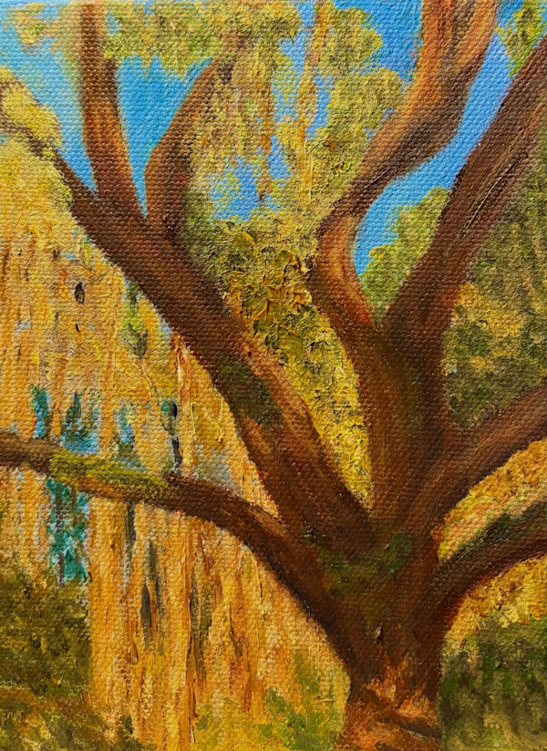 Tree Series #10 - Spanish Moss Hanging from a Tree by Mary O'Malley-Joyce