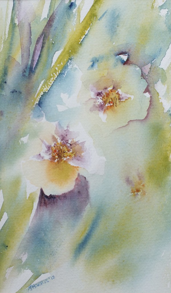 Hellebores by Sarion Gravelle-Harris