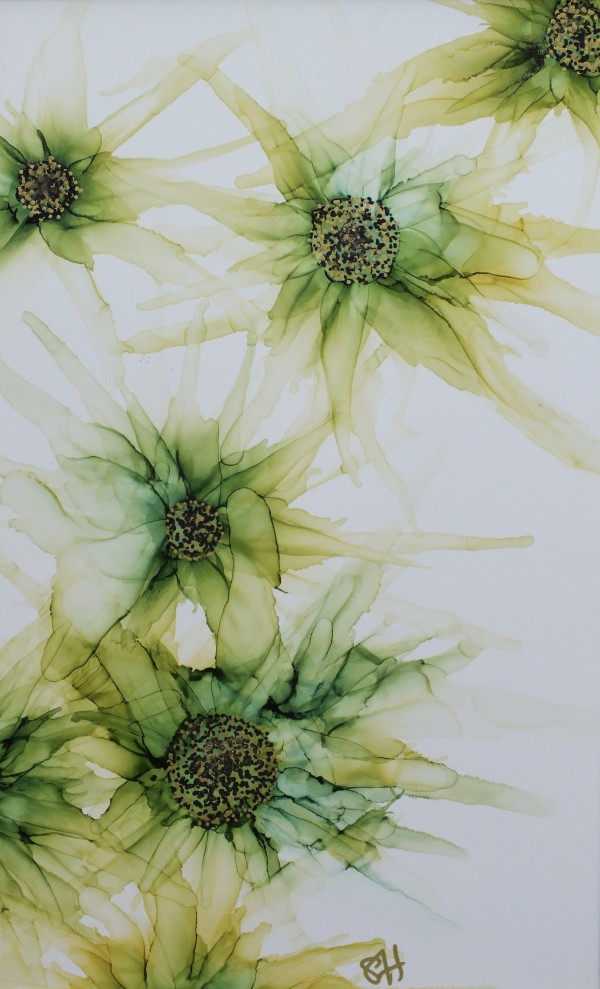 Organza  Lime Flowers