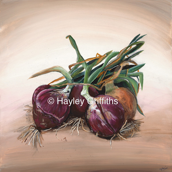 Onion Still Life Painting 2025 by Hayley J Griffiths, Image 1.