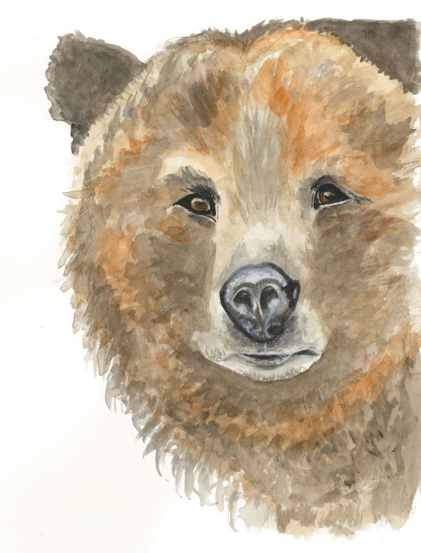 Bear by Rosalynd Coulter Semple