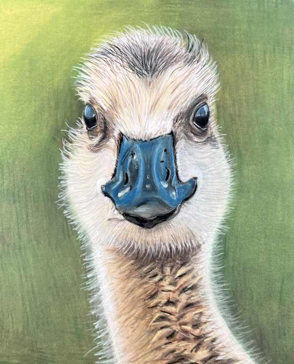 Gary Gosling by Rosalynd Coulter Semple, Image 1.