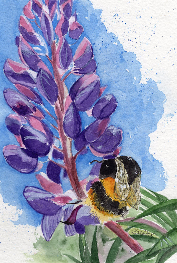 Bee & Lupin by Rosalynd Coulter Semple