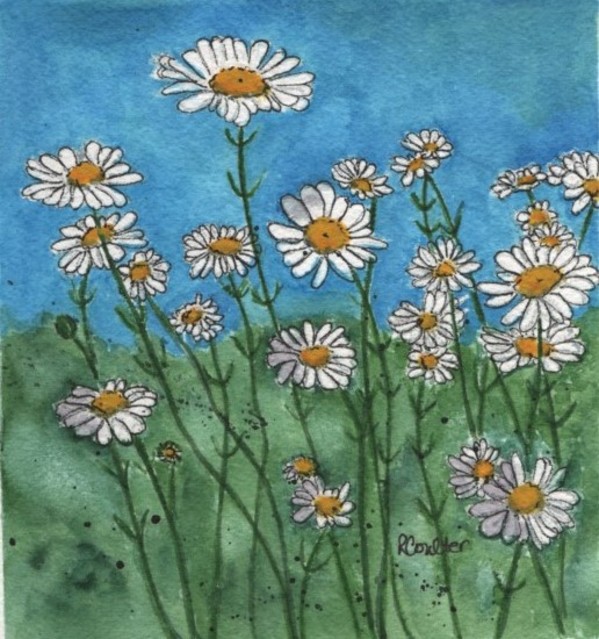 Daisy Garden by Rosalynd Coulter Semple