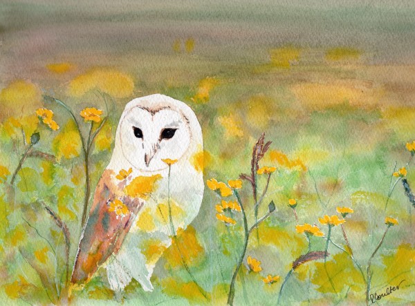 Watchful by Rosalynd Coulter Semple