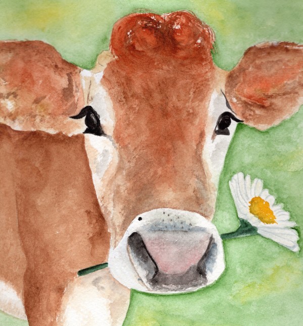 Daisy by Rosalynd Semple