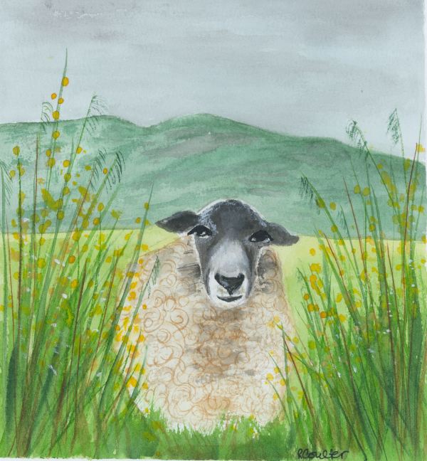 How are Ewe? by Rosalynd Semple