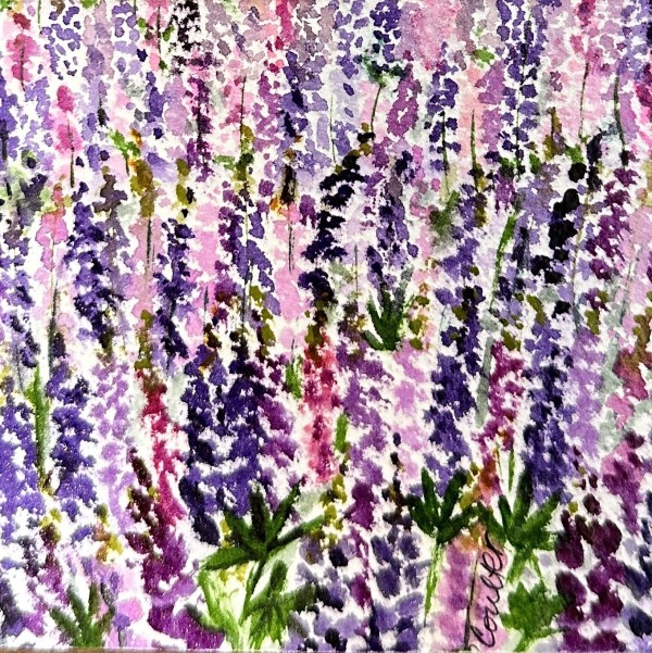 Lupins Forever by Rosalynd Coulter Semple
