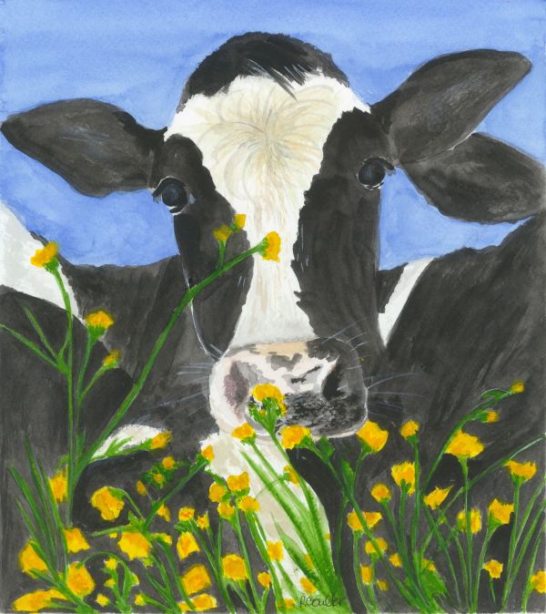 Maybelle by Rosalynd Semple