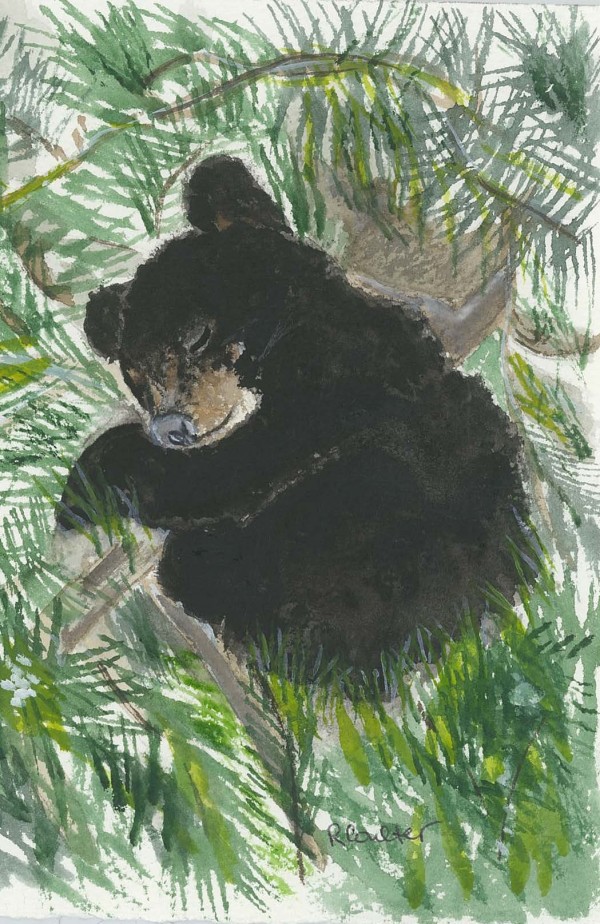 Naptime by Rosalynd Semple