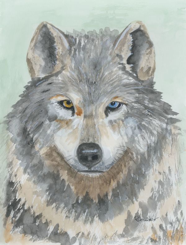 Spirit Animal by Rosalynd Semple