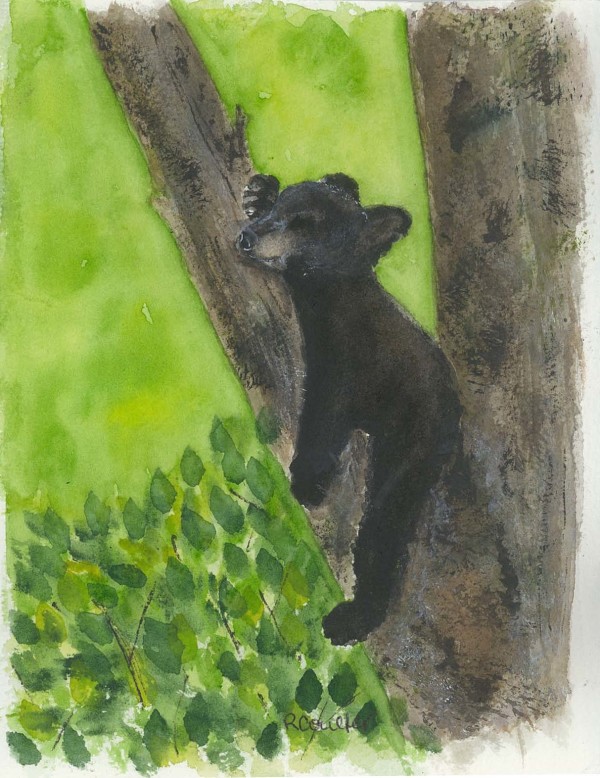 Morning Snooze by Rosalynd Semple