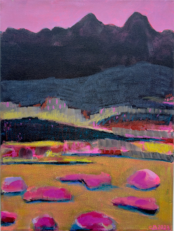 Magic Desert by Caroline Burdett