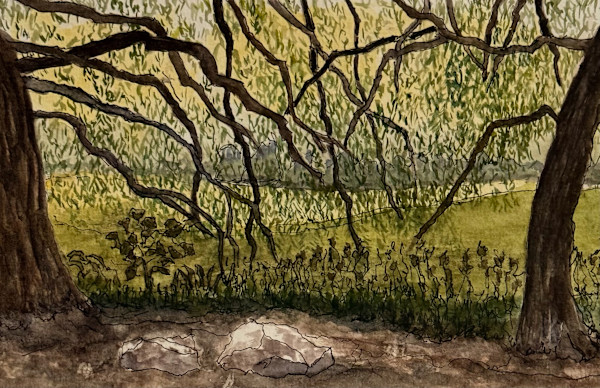 Central Park Lagoon by Lon Bender, Image 1.