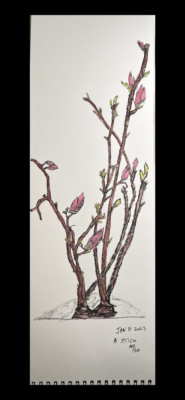 Magnolia Tree Branch by Lon Bender