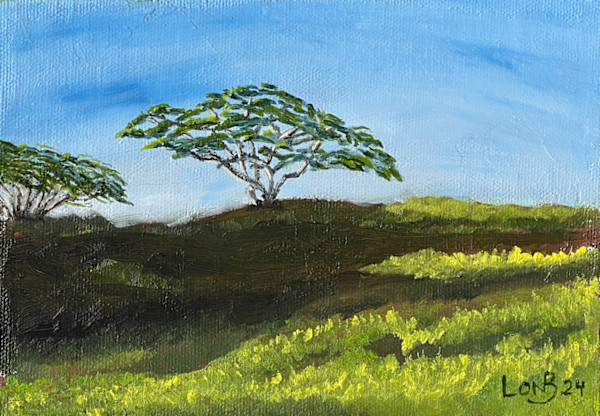 Poipu Albizia Trees on a Lazy Afternoon by Lon Bender