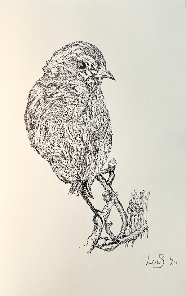 Kauai Bird on a branch by Lon Bender