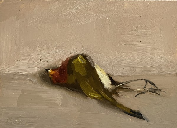 Roodborstje (Robin) by Philine van der Vegte