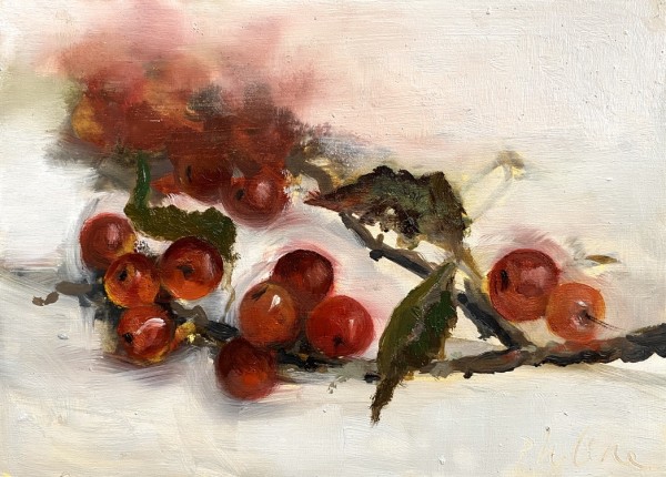 Crab apples by Philine van der Vegte
