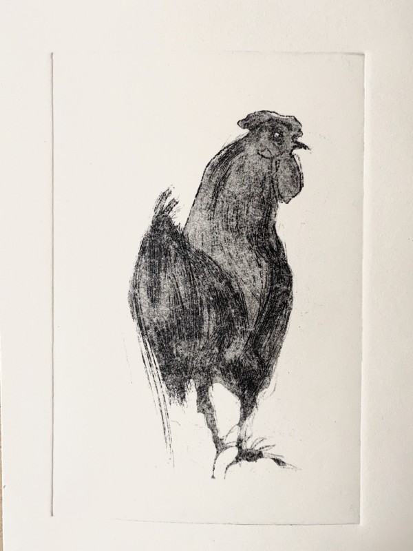 Rooster by Philine van der Vegte
