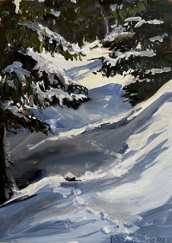 Snowshoe path by Philine van der Vegte