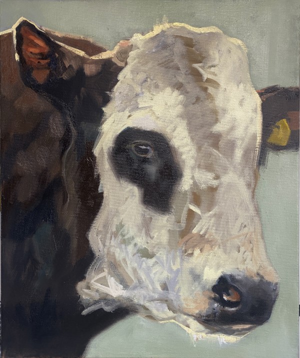 Blaarkop stier by Philine van der Vegte