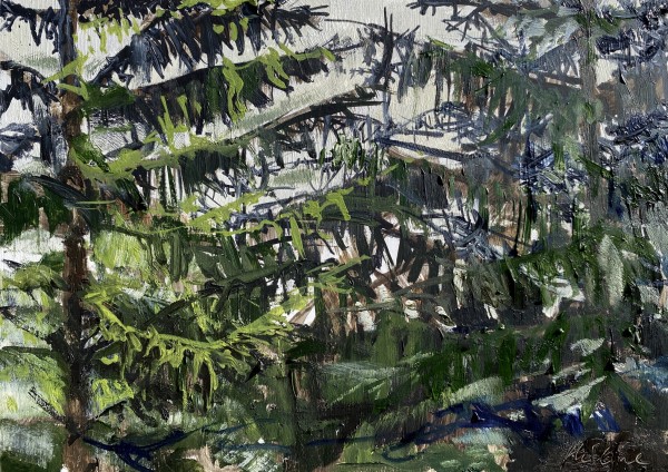 Pine trees by Philine van der Vegte
