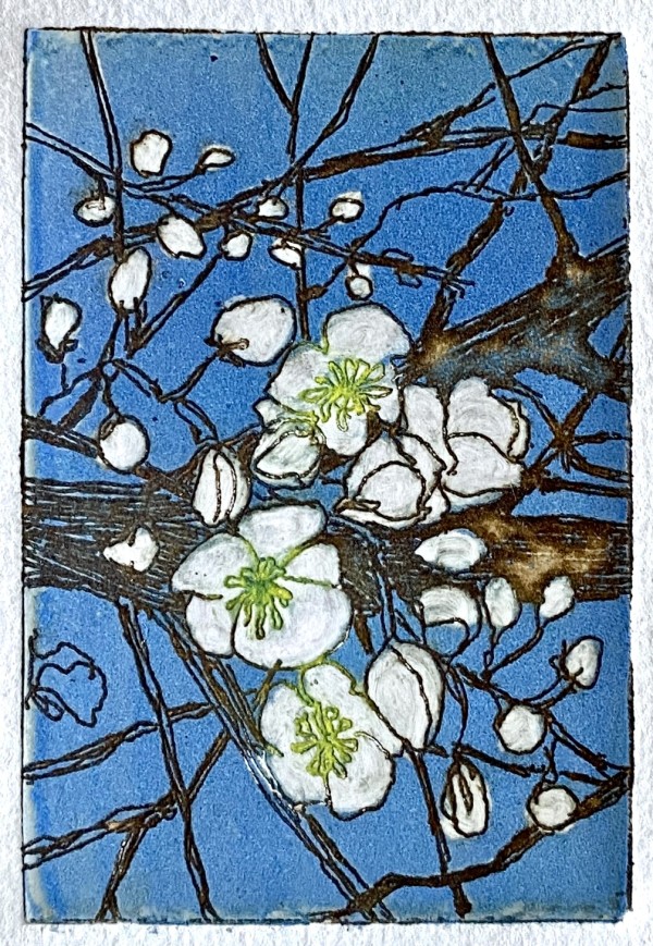 Pruimenbloesem (Plum blossom) by Philine van der Vegte