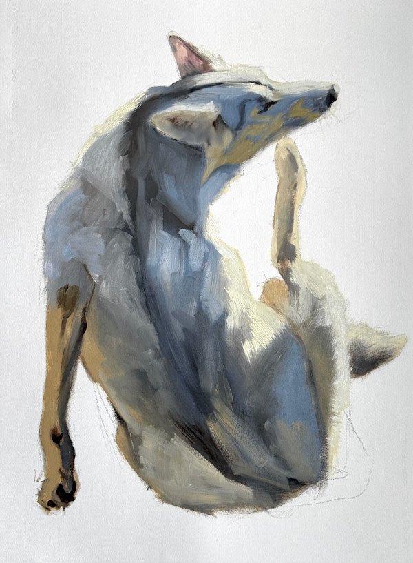 A good scratch by Philine van der Vegte