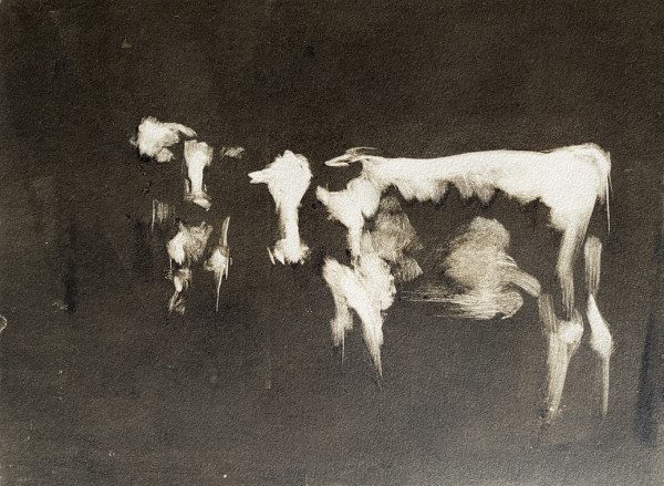 Cows monotype by Philine van der Vegte
