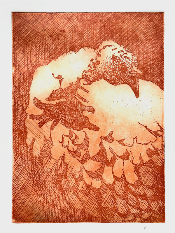 Kalkoenhen by Philine van der Vegte
