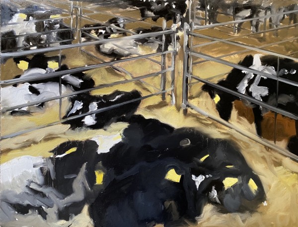 Calves at the livestock market by Philine van der Vegte