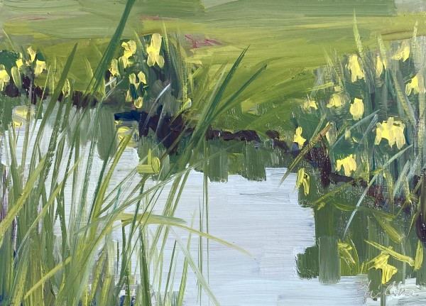 Yellow irises by Philine van der Vegte