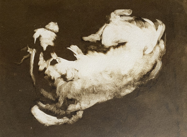 Calf monotype by Philine van der Vegte