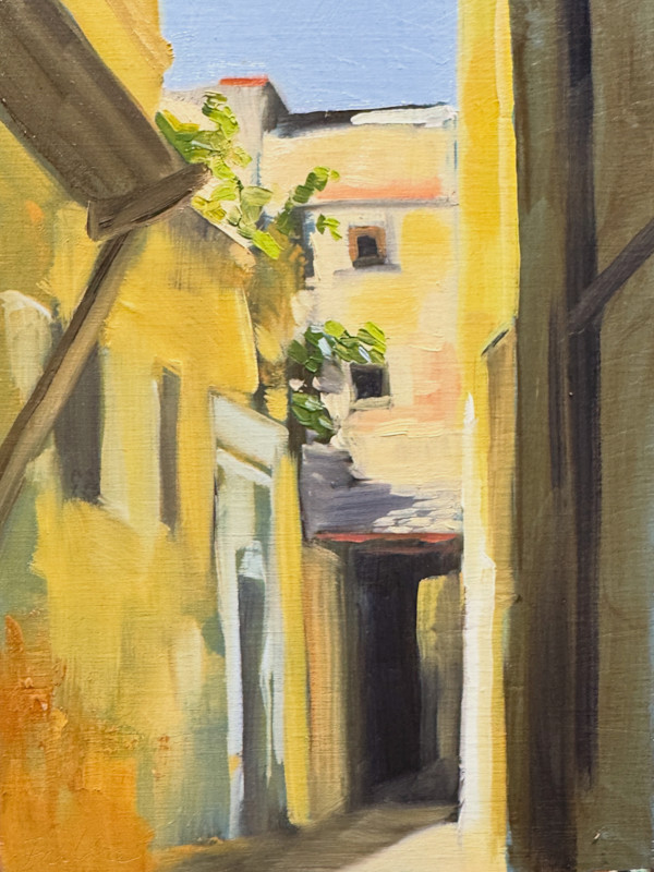 An alley in Fez by Philine van der Vegte, Image 1.